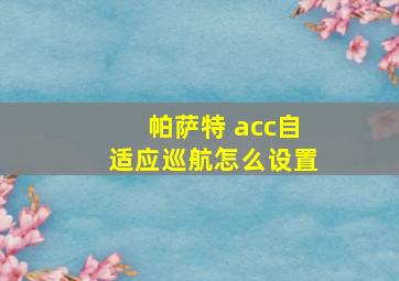 帕萨特 acc自适应巡航怎么设置